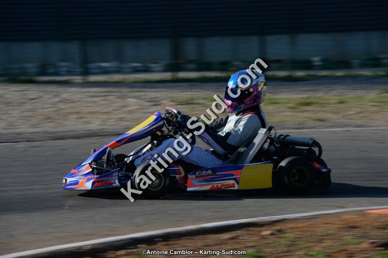 DSC_5951.jpg
