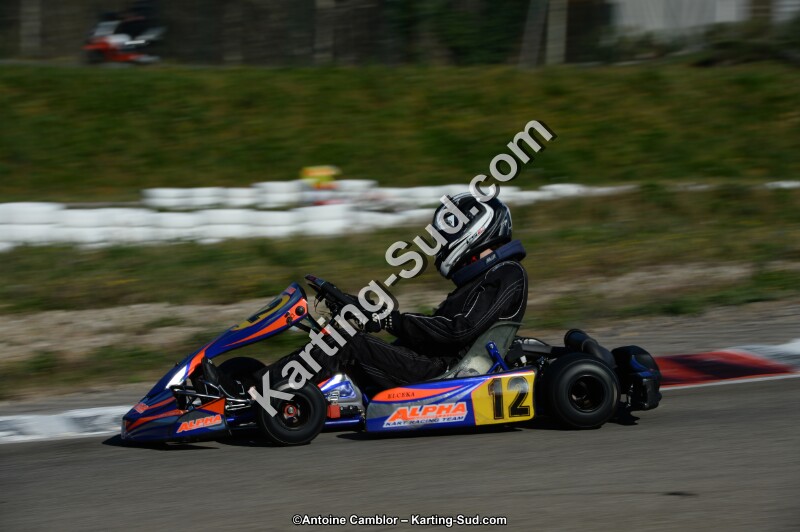 DSC_6101.jpg