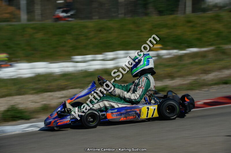 DSC_6102.jpg