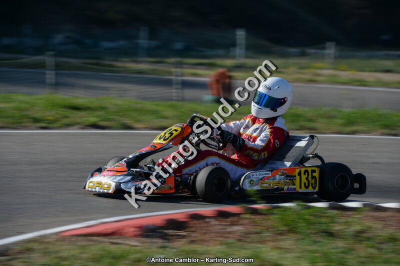 DSC_6212.jpg