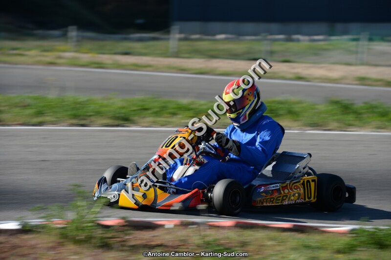 DSC_6221.jpg