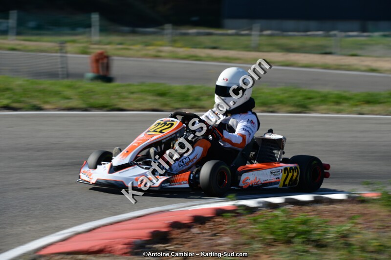 DSC_6317.jpg