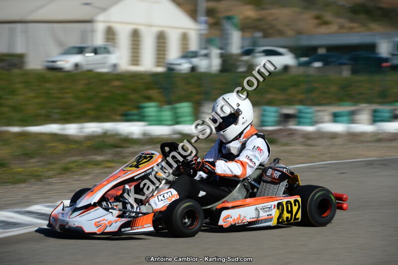 DSC_6335.jpg