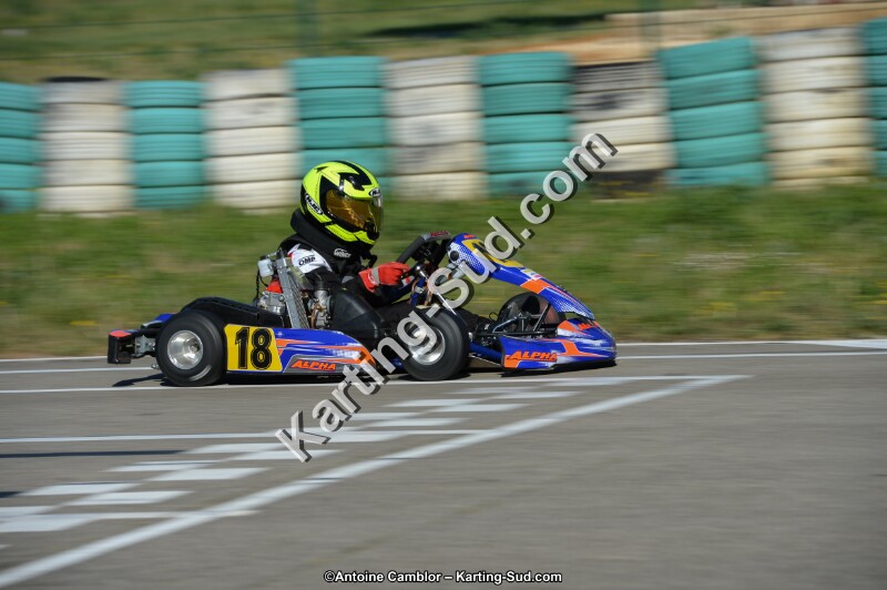 DSC_6390.jpg