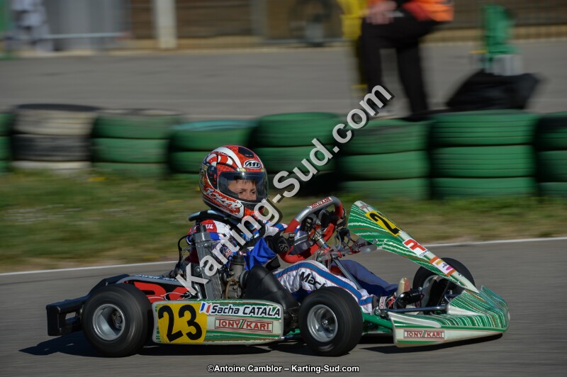 DSC_6393.jpg