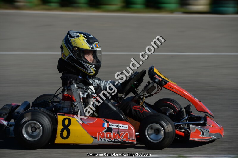 DSC_6397.jpg