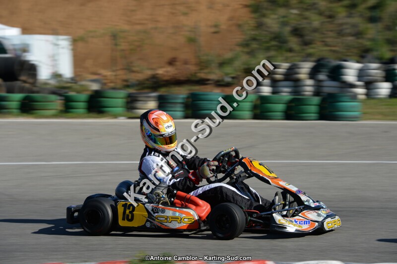 DSC_6442.jpg