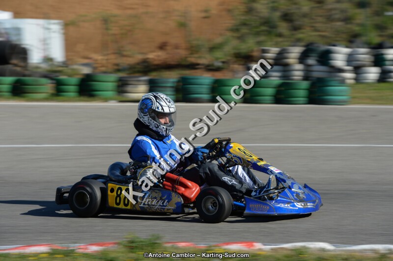 DSC_6445.jpg