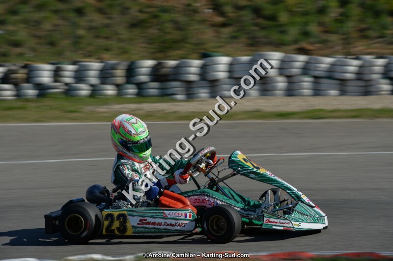 DSC_6452.jpg