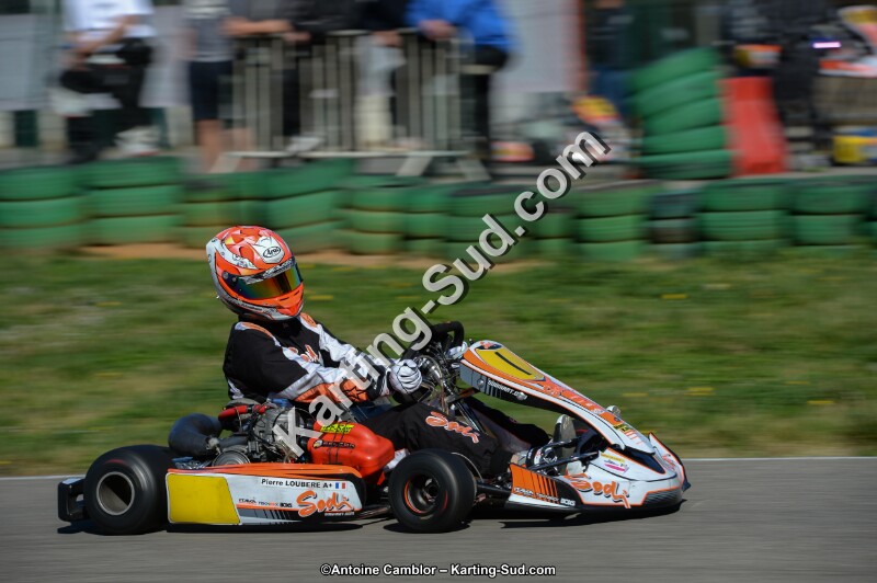 DSC_6472.jpg