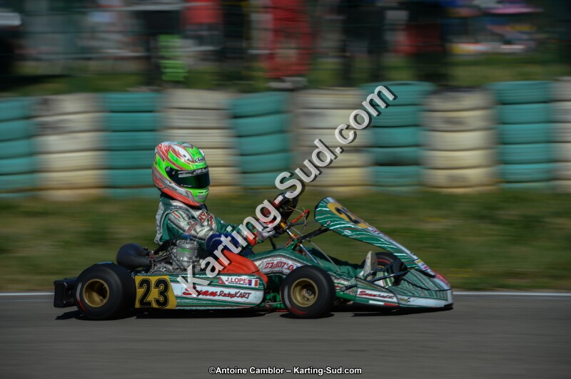 DSC_6491.jpg