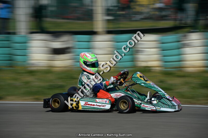 DSC_6501.jpg