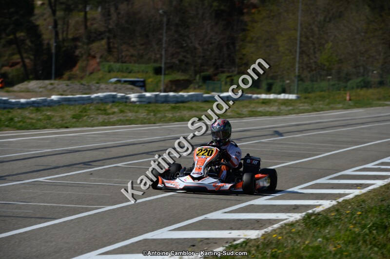 DSC_6516.jpg