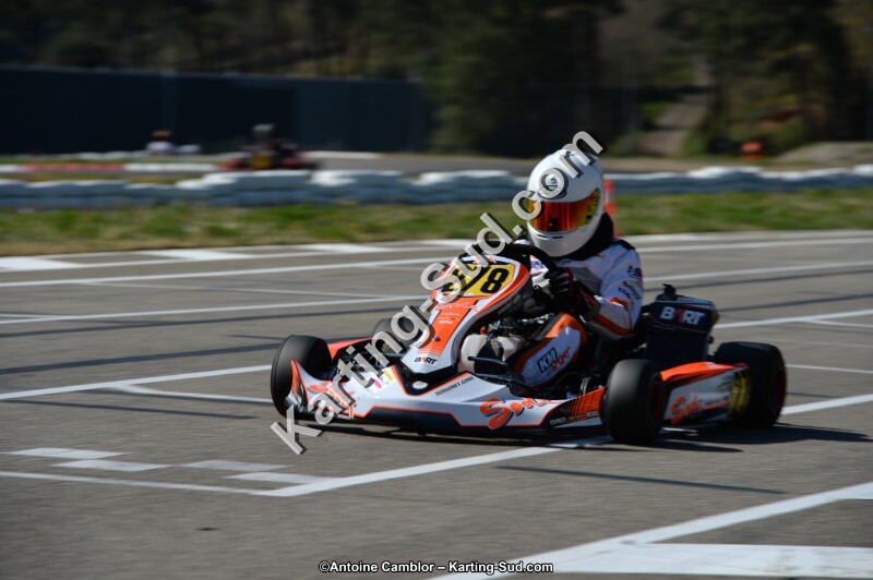 DSC_6522.jpg