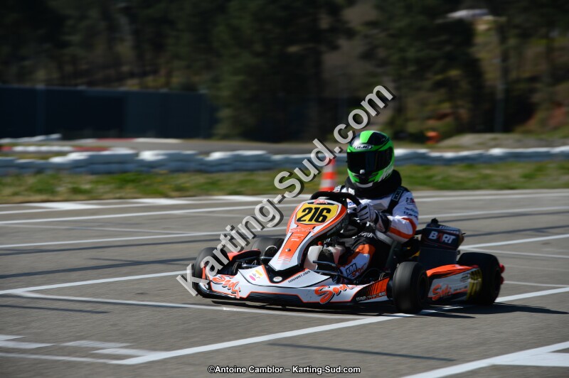 DSC_6524.jpg