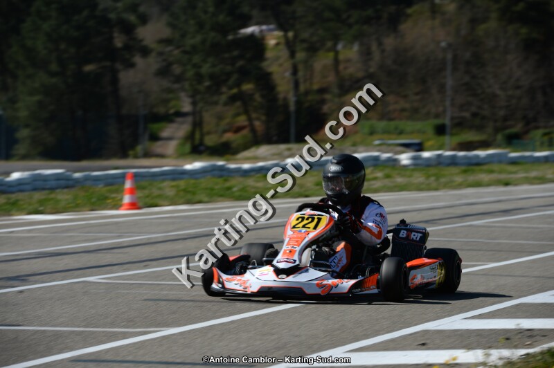 DSC_6528.jpg