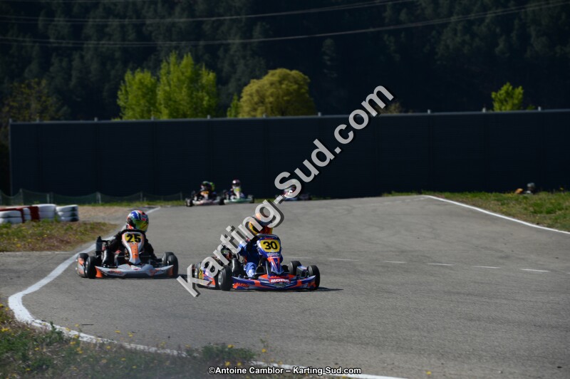 DSC_6530.jpg