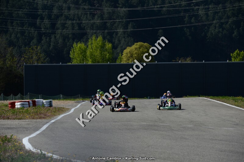 DSC_6531.jpg
