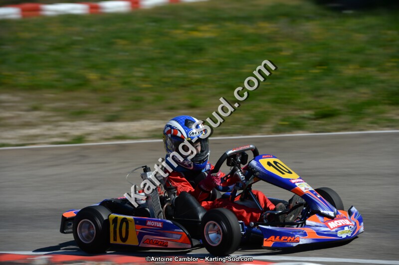 DSC_6547.jpg