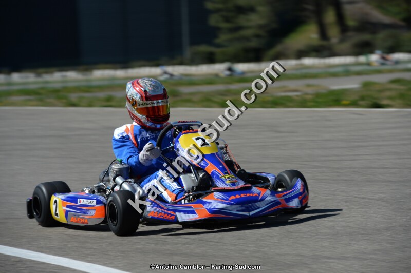 DSC_6599.jpg