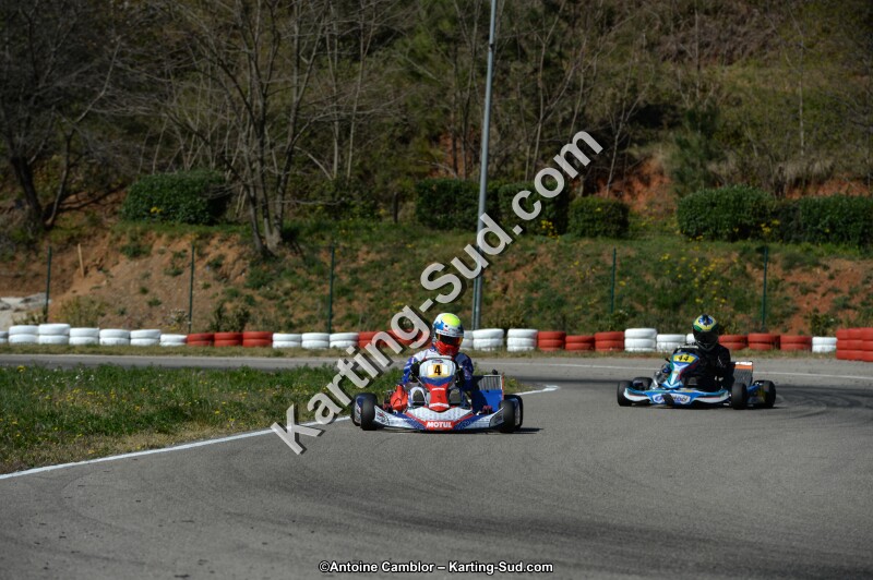 DSC_6678.jpg