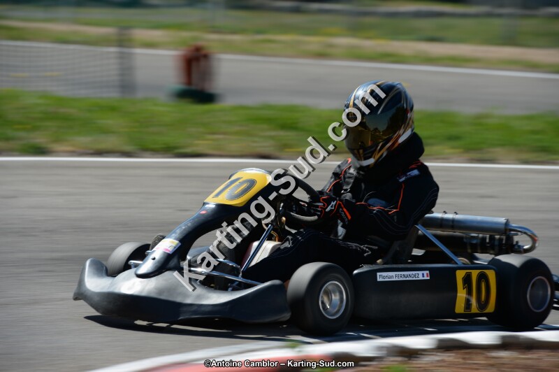 DSC_6708.jpg