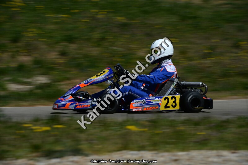 DSC_6824.jpg