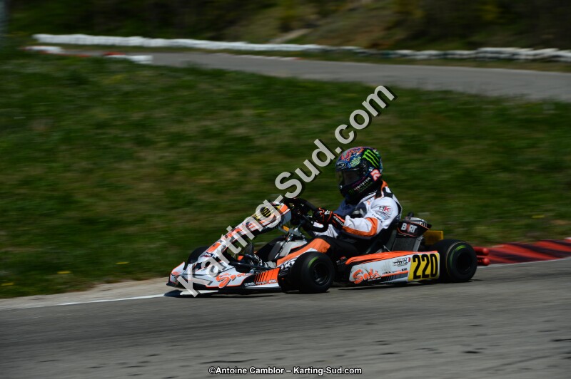DSC_6895.jpg