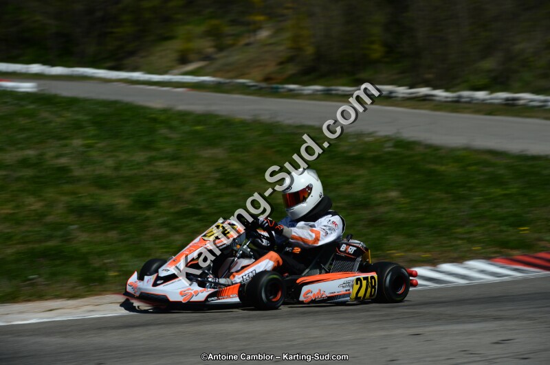 DSC_6896.jpg