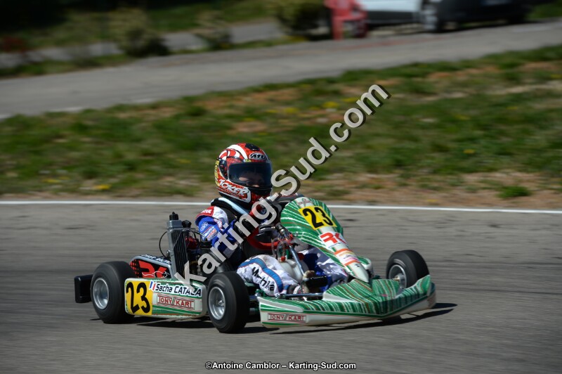 DSC_6911.jpg