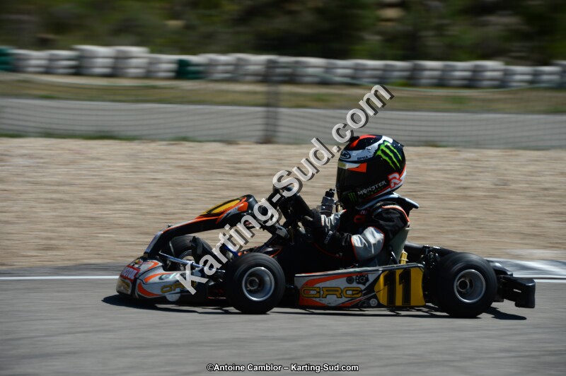 DSC_6931.jpg