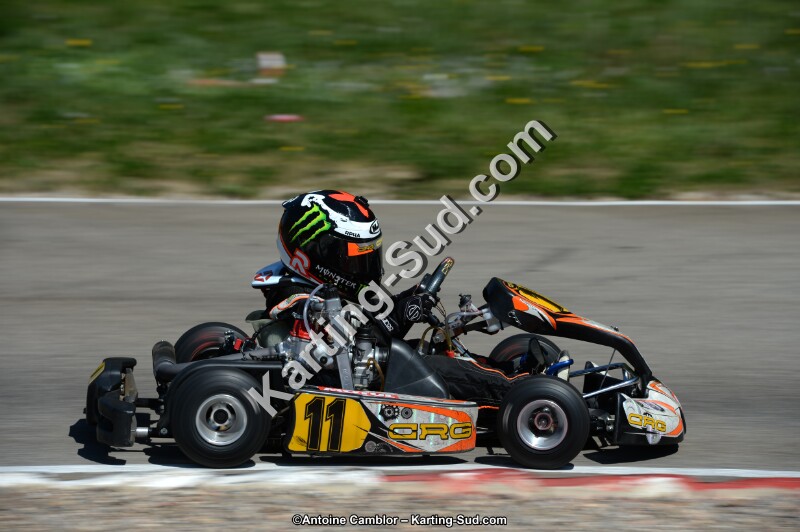 DSC_6951.jpg