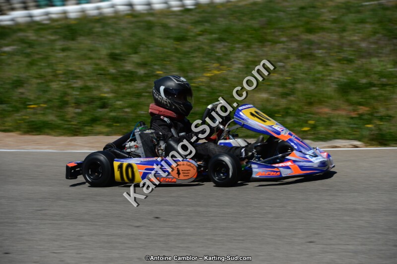 DSC_6978.jpg