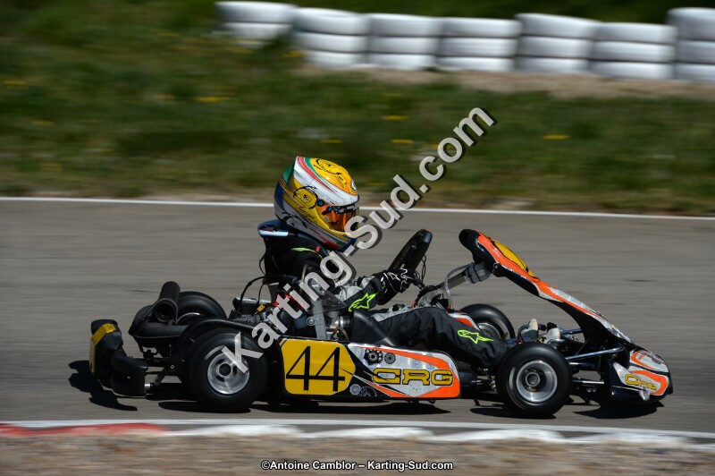 DSC_6986.jpg