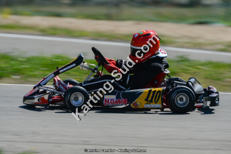 DSC_7137.jpg