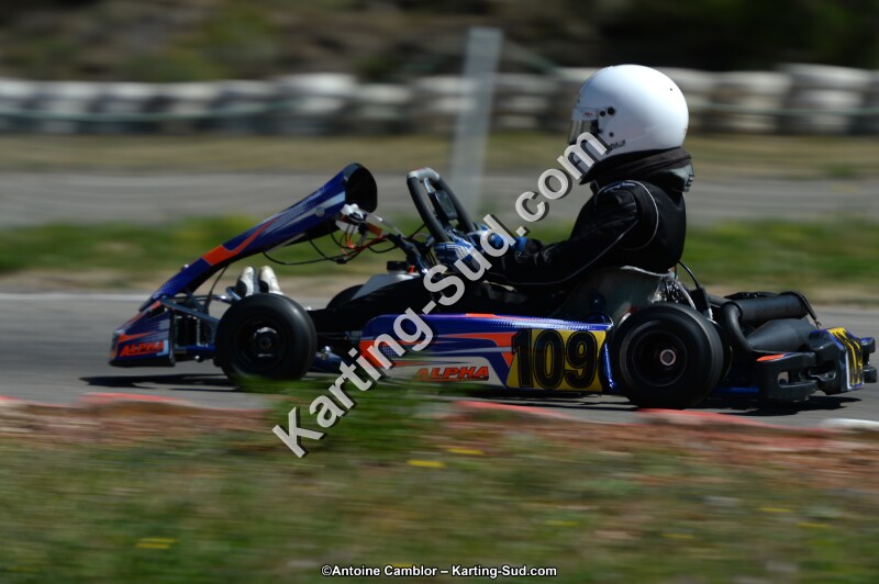 DSC_7146.jpg