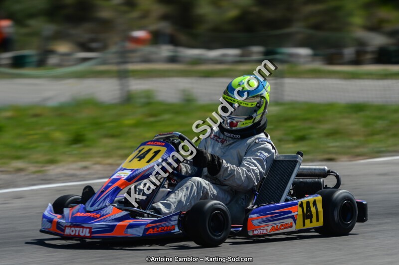 DSC_7335.jpg