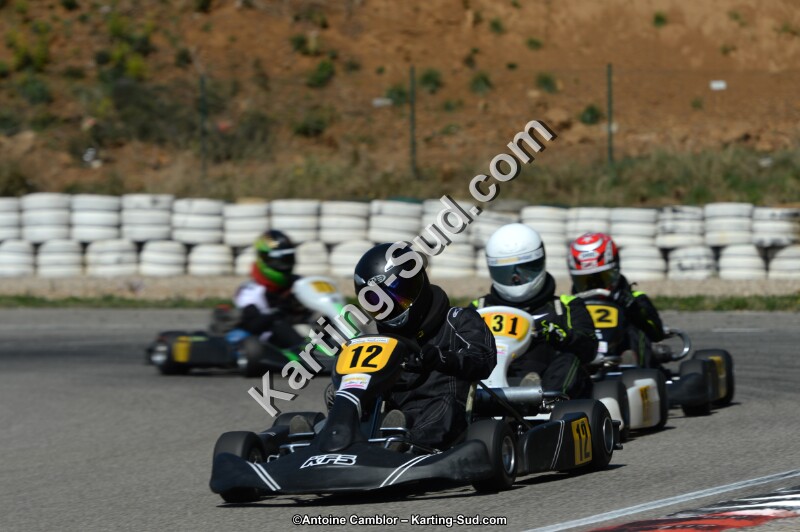 DSC_7442.jpg