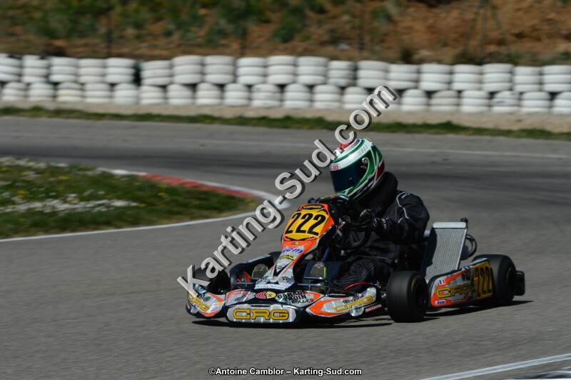 DSC_7466.jpg