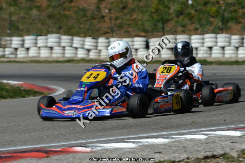 DSC_7531.jpg