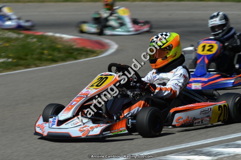DSC_7536.jpg