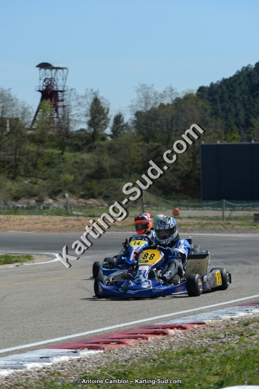DSC_7558.jpg
