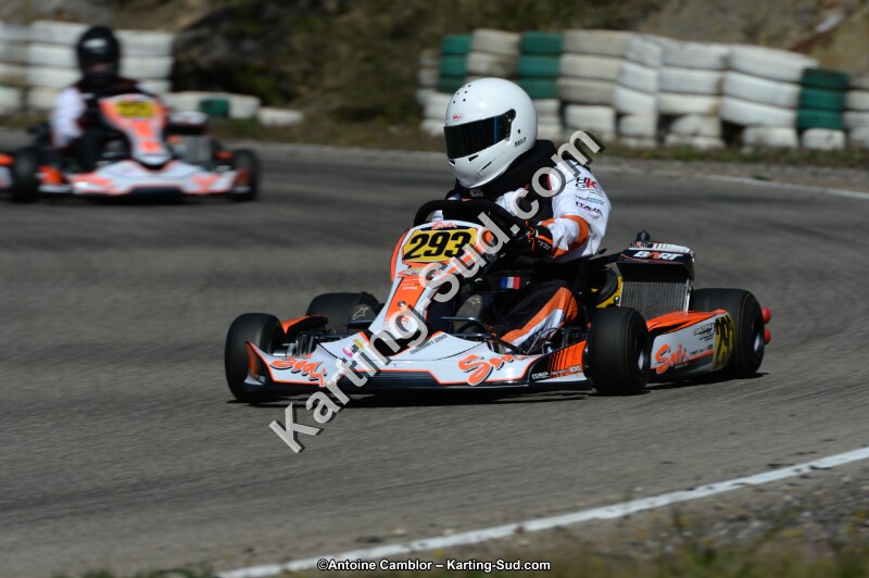 DSC_7650.jpg