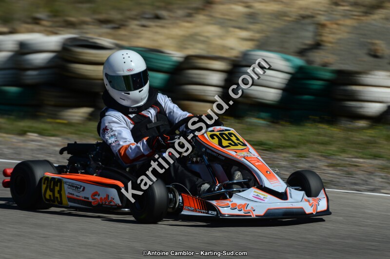 DSC_7667.jpg