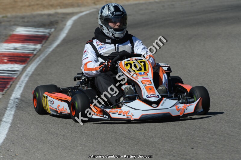 DSC_7681.jpg