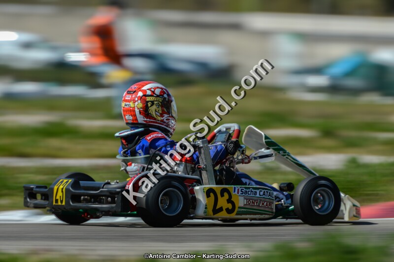 DSC_7729.jpg
