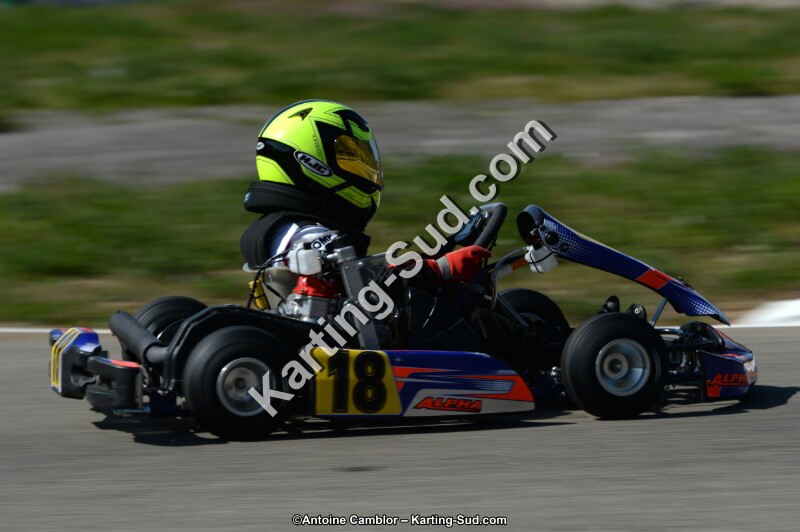 DSC_7733.jpg