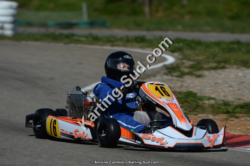 DSC_7772.jpg