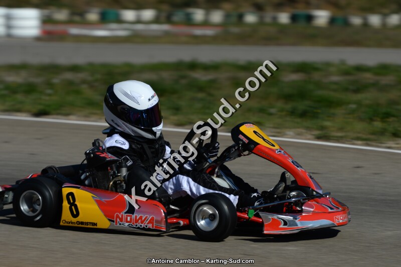 DSC_7800.jpg
