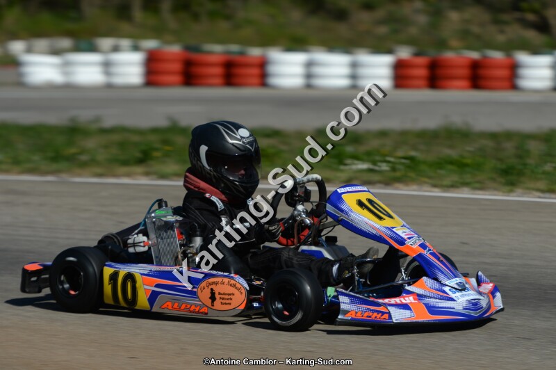 DSC_7801.jpg